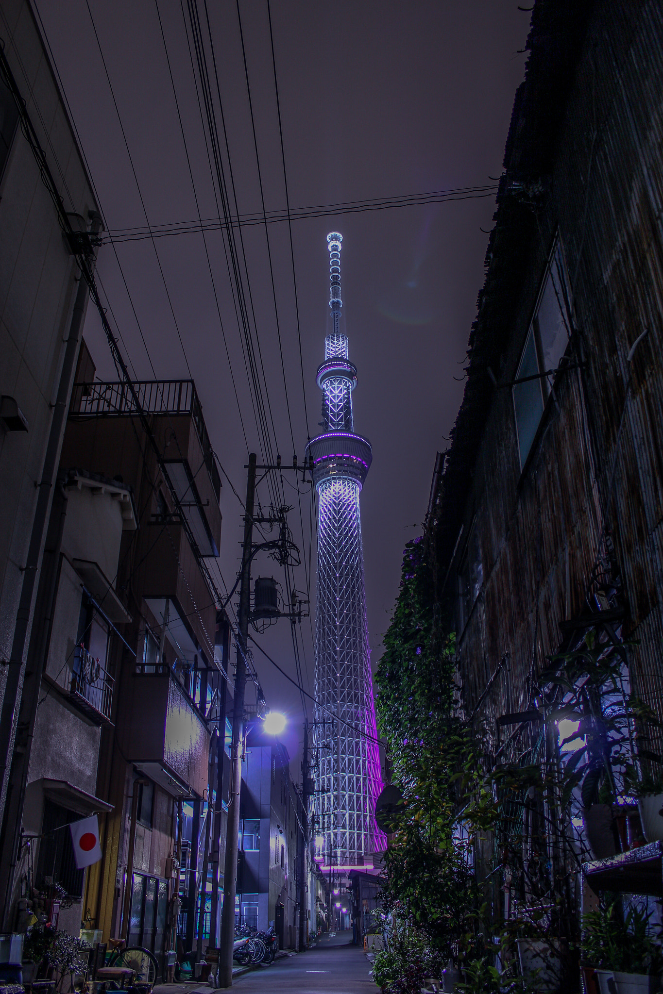 Canon EOS 550D (EOS Rebel T2i / EOS Kiss X4) + Canon EF-S 18-55mm F3.5-5.6 IS II sample photo. ”miyabi"colored tower,tokyo skytree photography