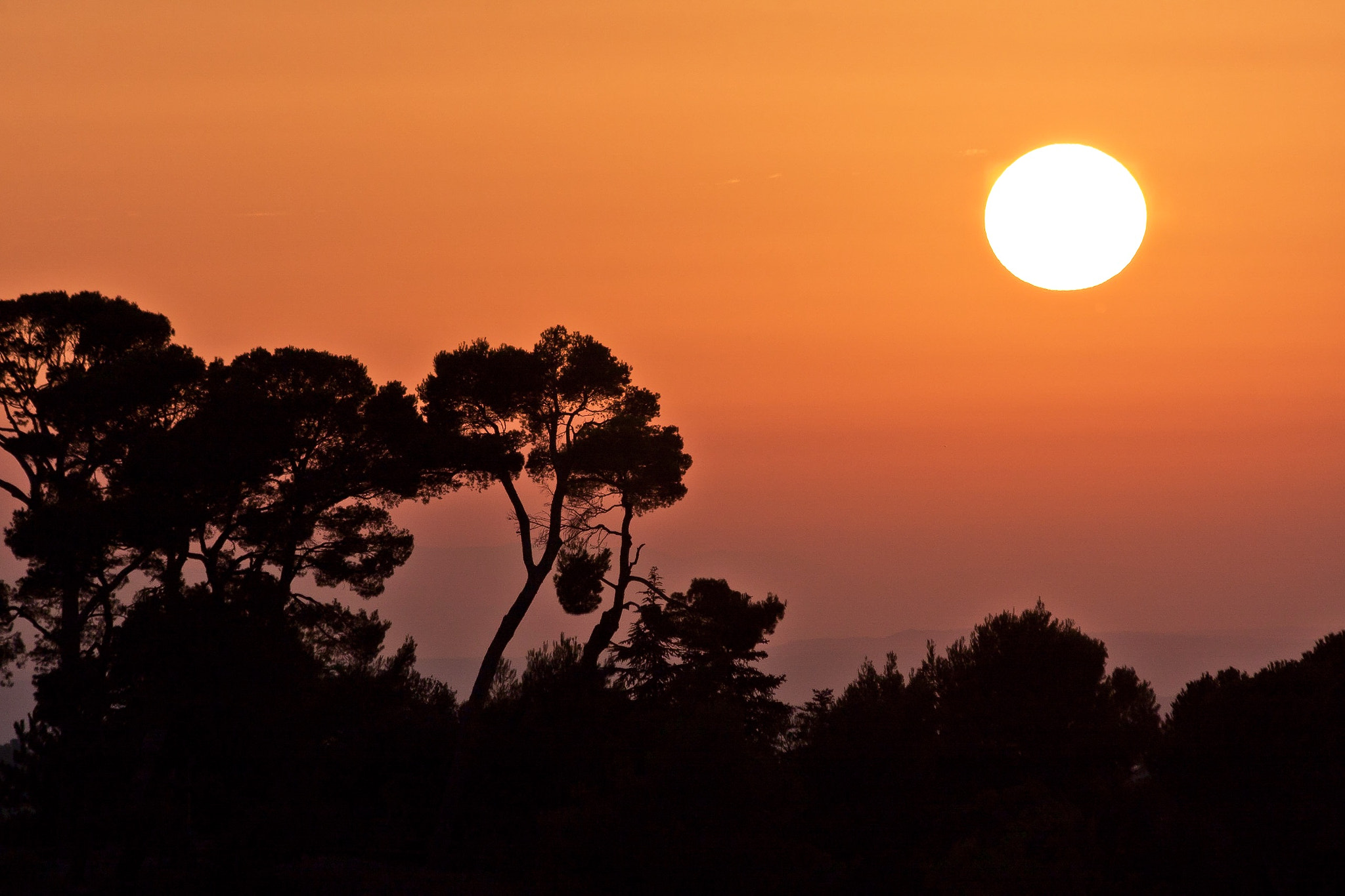 Canon EF 70-300mm F4-5.6 IS USM sample photo. France, provence photography