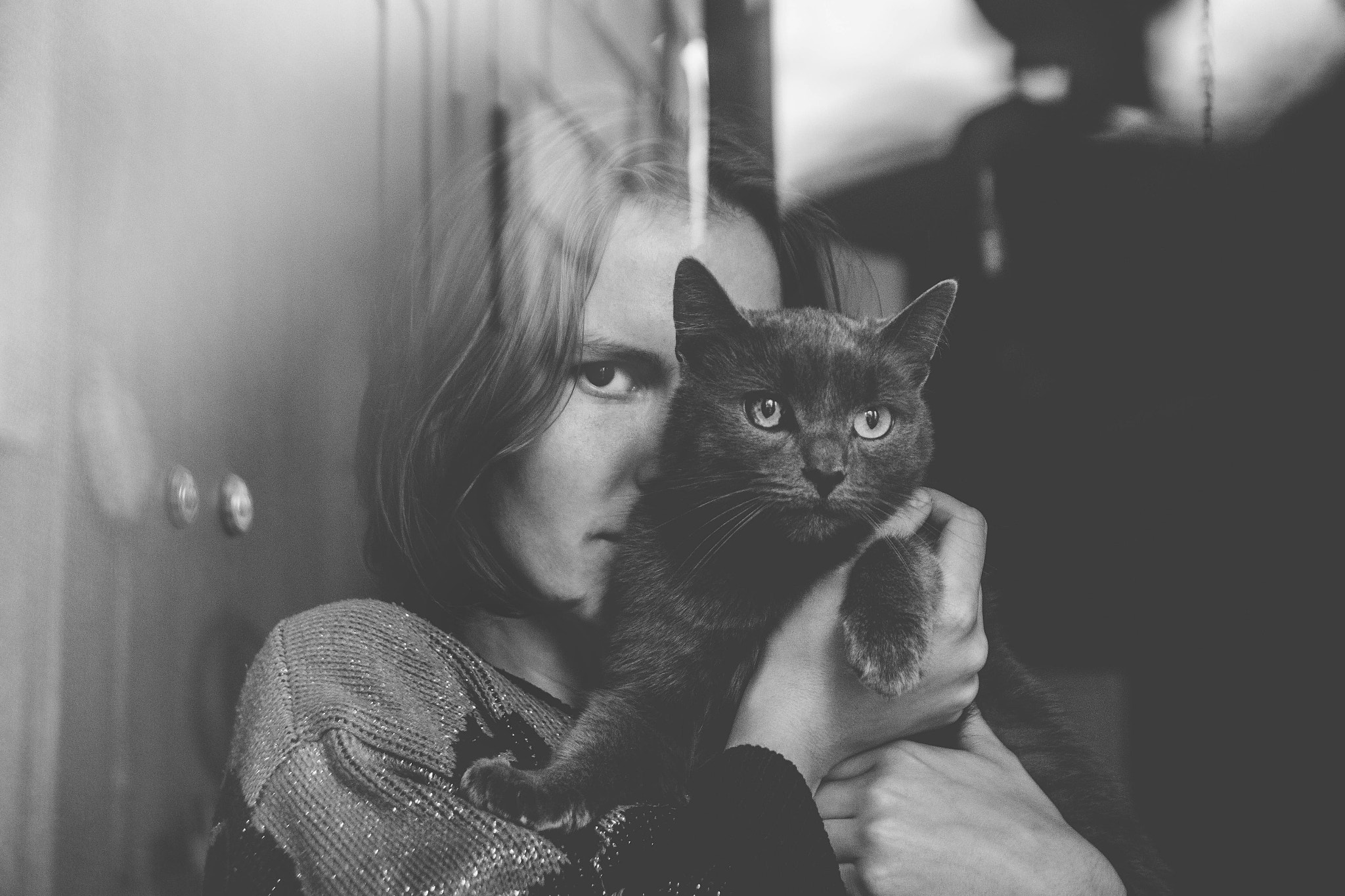 Canon EF-S 17-55mm F2.8 IS USM sample photo. Kitty cats photography