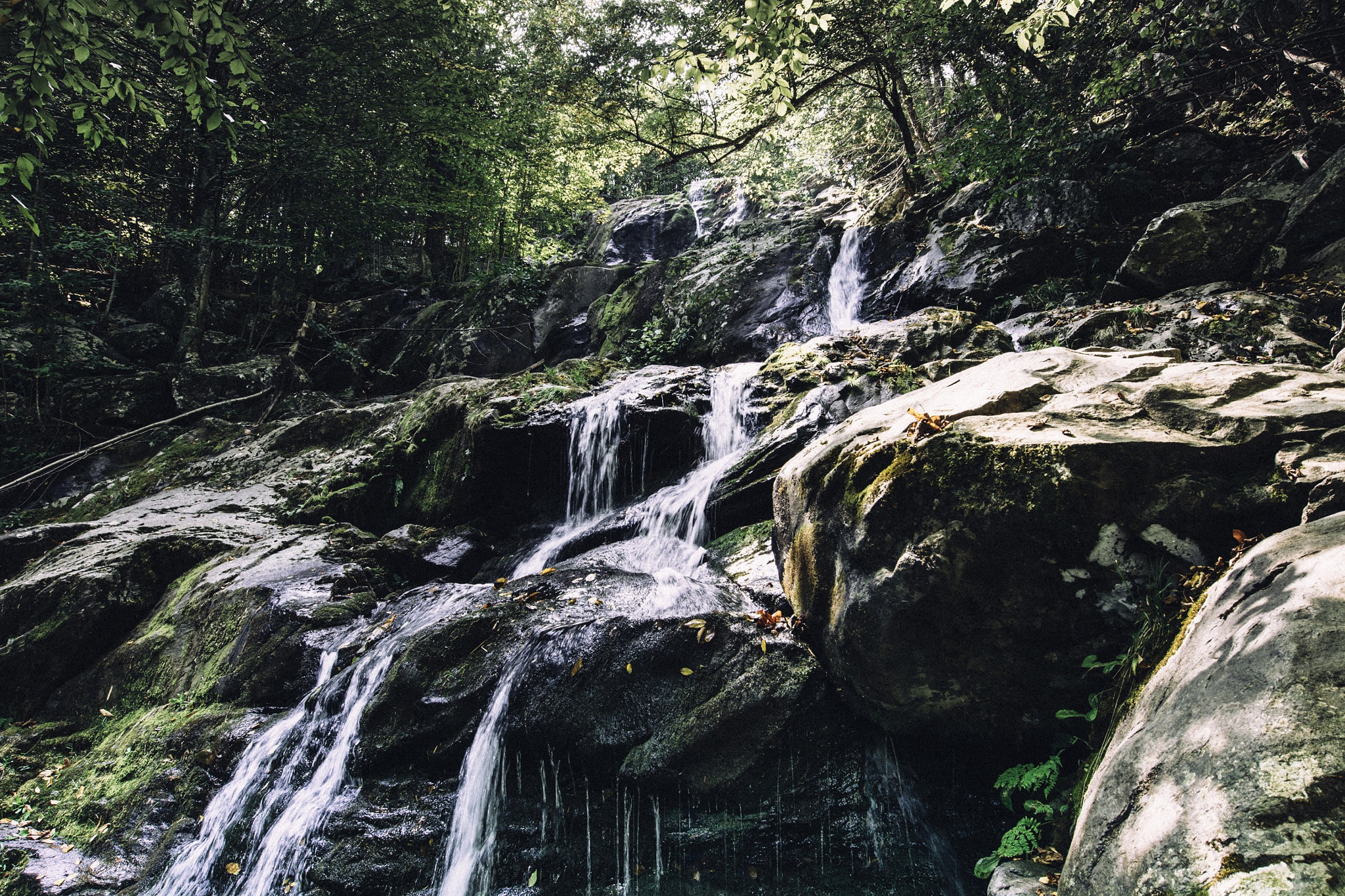 Nikon AF-S Nikkor 14-24mm F2.8G ED sample photo. Waterfall hike photography