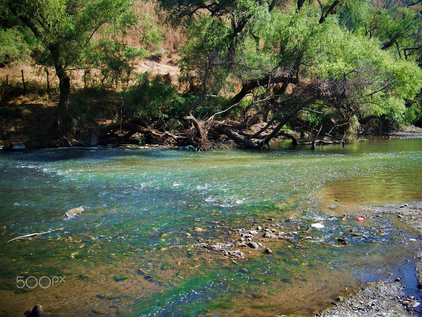 FujiFilm FinePix Z70 (FinePix Z71) sample photo. Green & brown colored river photography