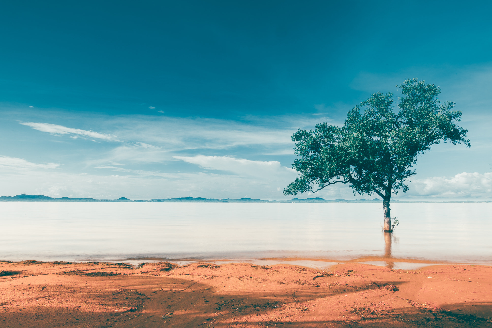 Canon EF 16-35mm F4L IS USM sample photo. Lonely tree photography