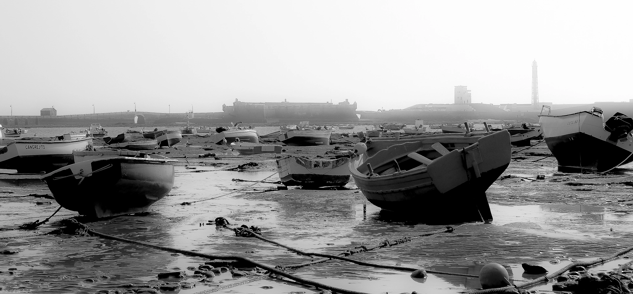 Nikon D300S sample photo. Low tide in càdiz (sp) photography