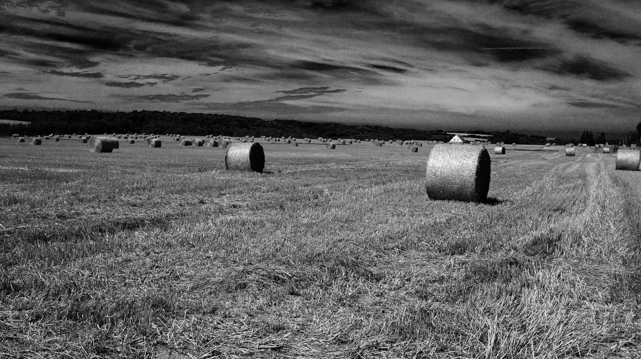 Tamron 18-200mm F3.5-6.3 Di III VC sample photo. Hay field in france with noir effect photography