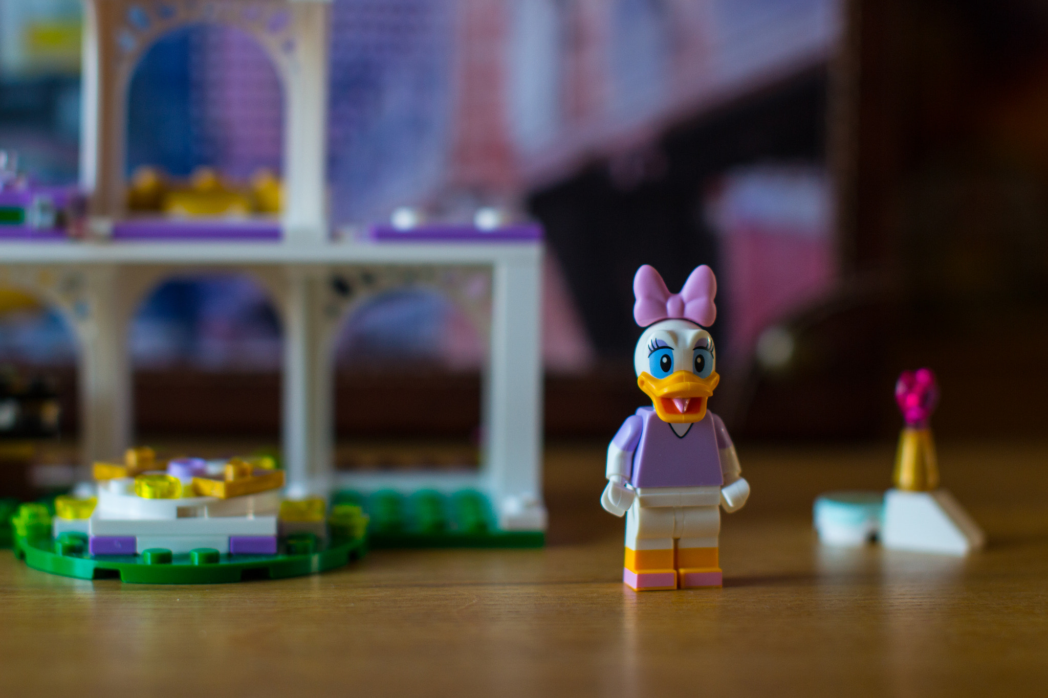 Sigma 50mm F1.4 EX DG HSM sample photo. Lp (of ) photography