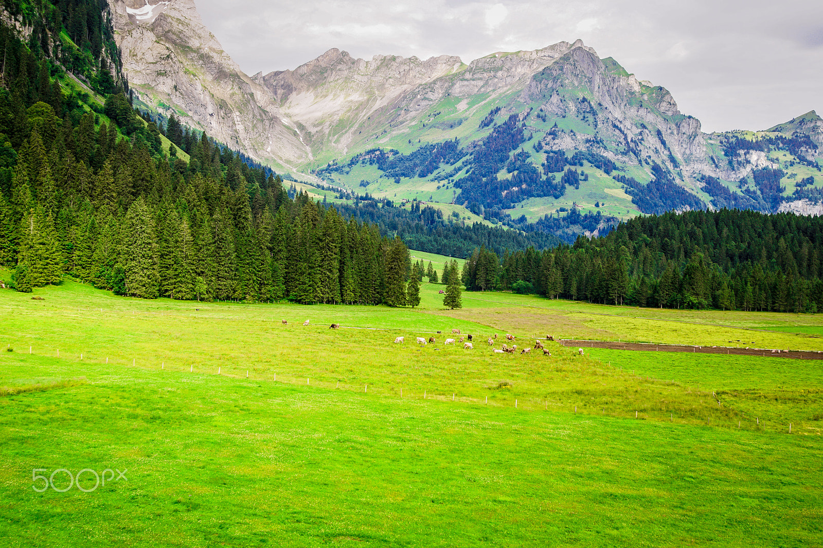 Sony ILCA-77M2 + 24-105mm F4 sample photo. Mt. titlis photography