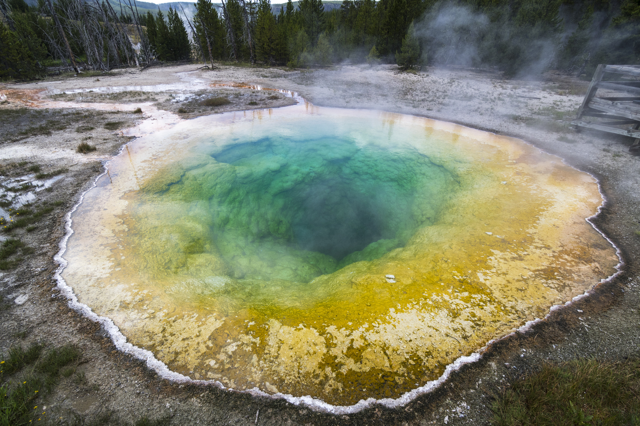 Nikon D500 sample photo. Morning glory pool photography