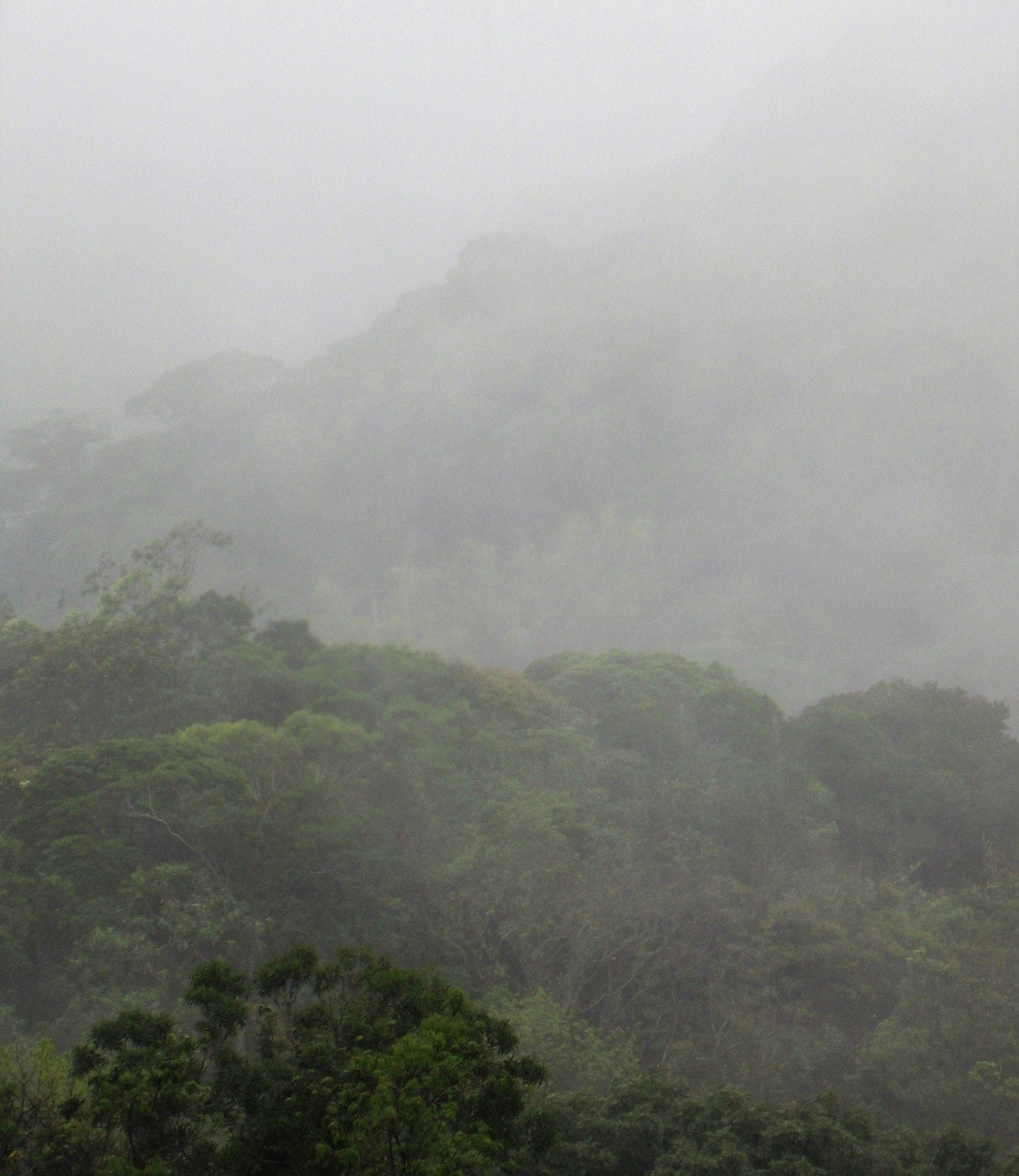 Fujifilm FinePix S2850HD sample photo. Rainy day photography