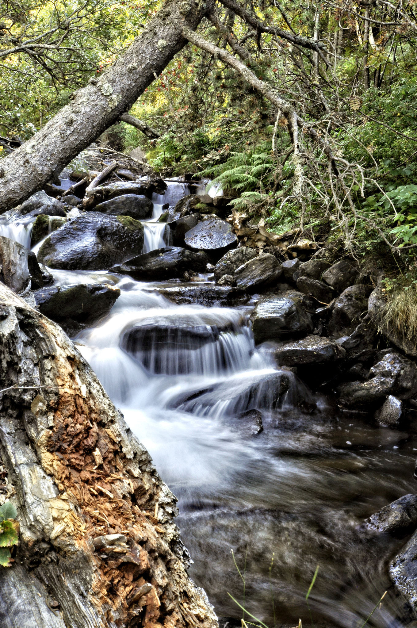 Nikon D5000 sample photo. River photography