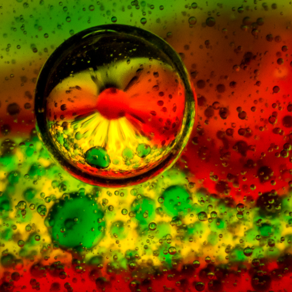 Canon MP-E 65mm F2.5 1-5x Macro Photo sample photo. Bulles photography