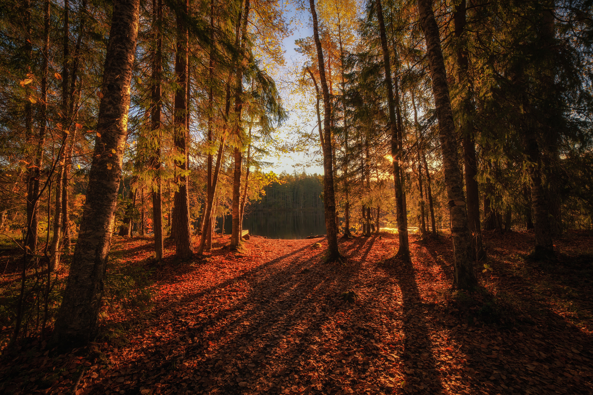 Samyang 14mm F2.8 ED AS IF UMC sample photo. Autumn light photography