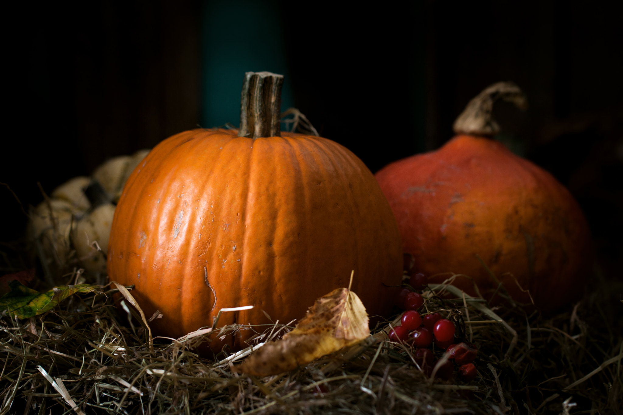 Canon EOS 50D + Canon EF 100mm F2.8L Macro IS USM sample photo. Still life with pumpkins on a hay with autumn leaves photography