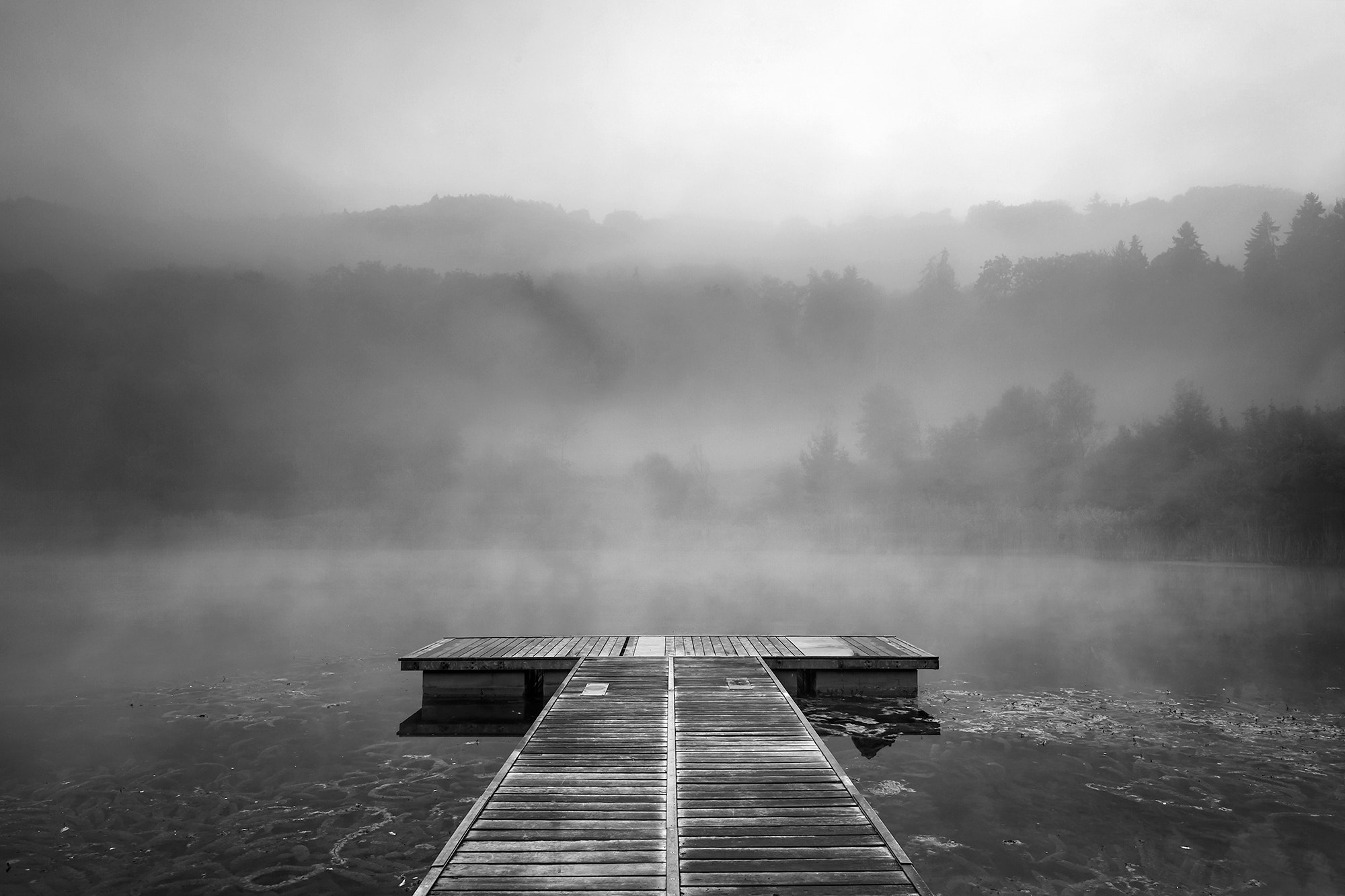 Canon EOS 5D Mark II + Canon EF 16-35mm F4L IS USM sample photo. Foggy morning photography