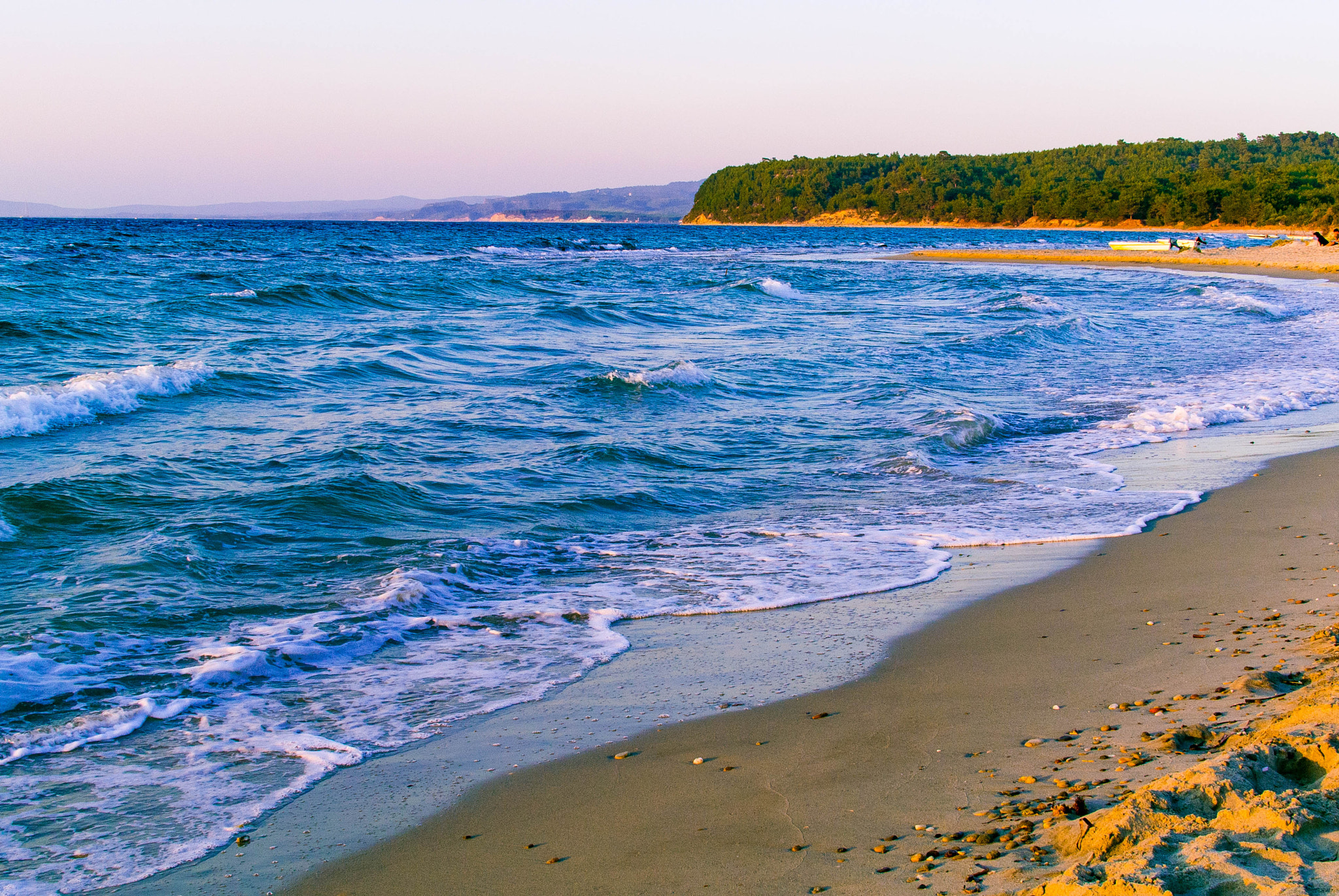 Nikon 1 V1 + Nikon 1 Nikkor 18.5mm F1.8 sample photo. Beach and forrest photography