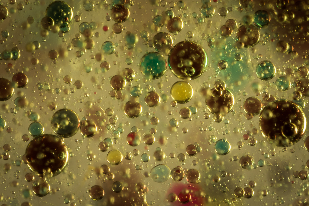 Canon MP-E 65mm F2.5 1-5x Macro Photo sample photo. Bulles photography