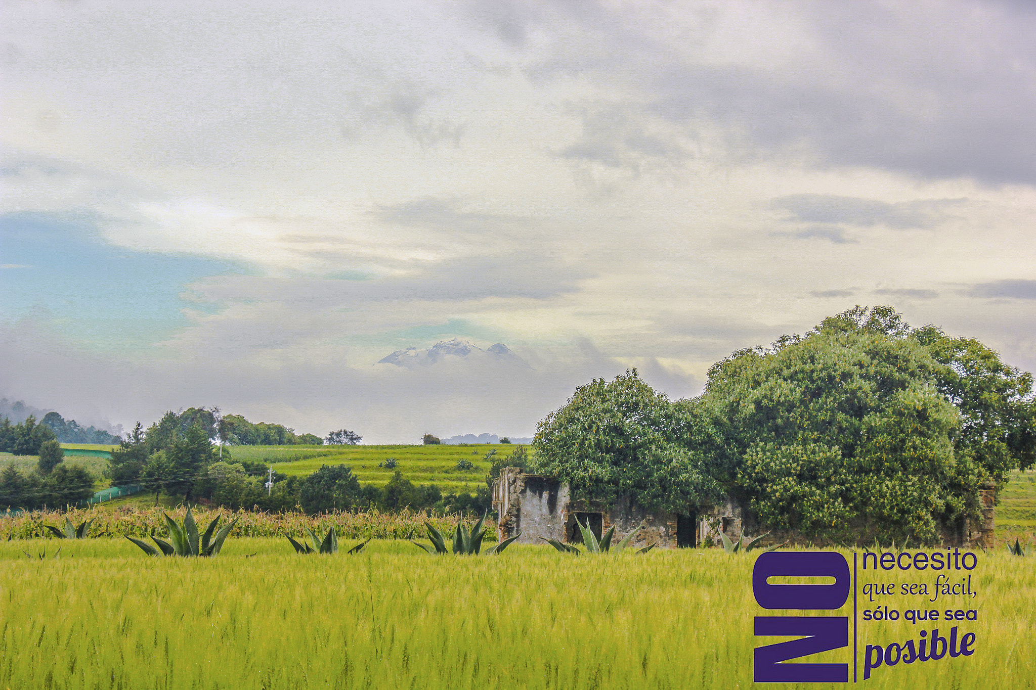 Canon EOS 550D (EOS Rebel T2i / EOS Kiss X4) sample photo. Valle de las luciernagas tlaxcala photography