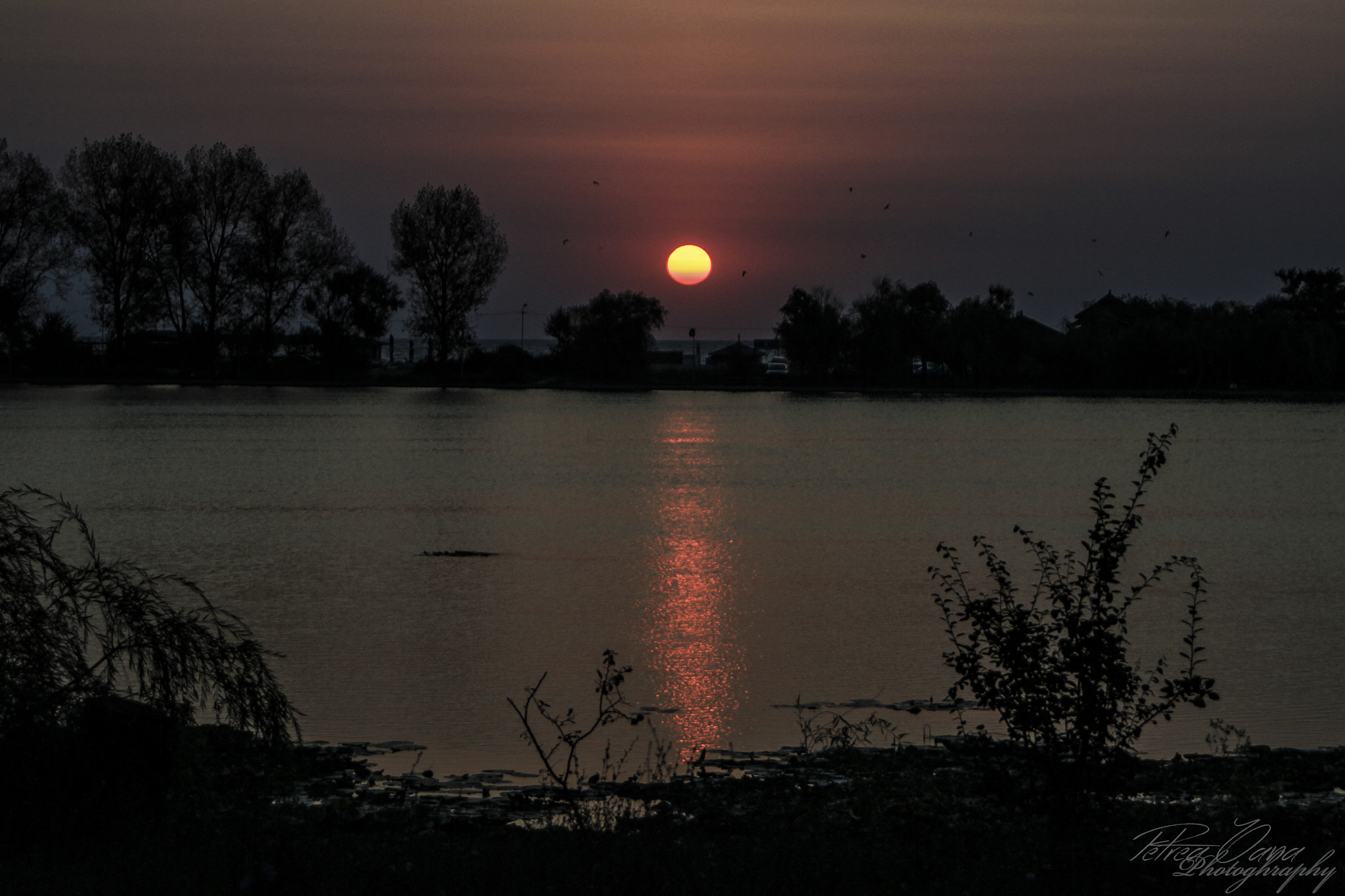 Canon EF 28-80mm f/3.5-5.6 sample photo. Img photography