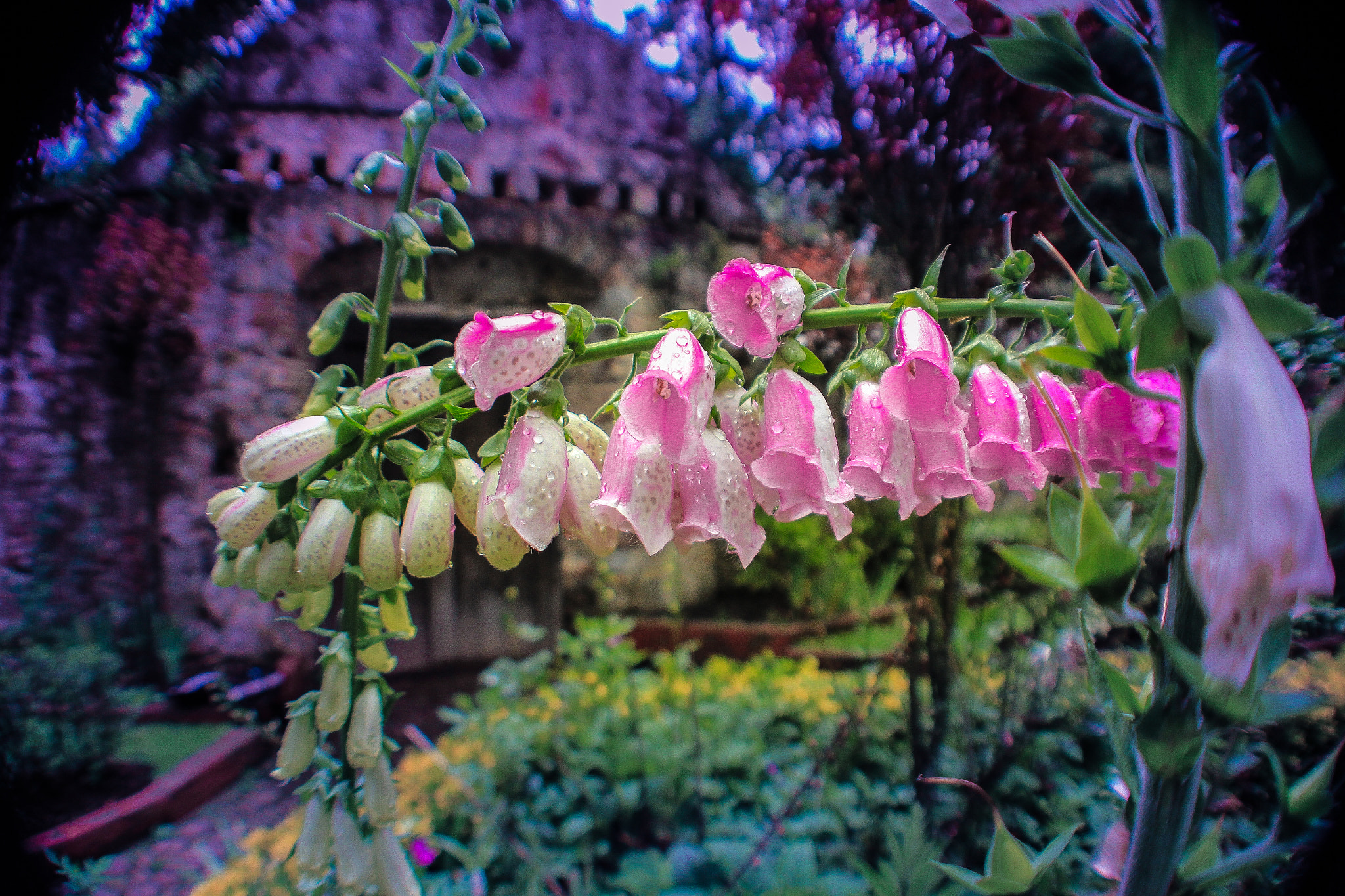 Canon EF 28-105mm f/3.5-4.5 USM sample photo. Exconvento photography