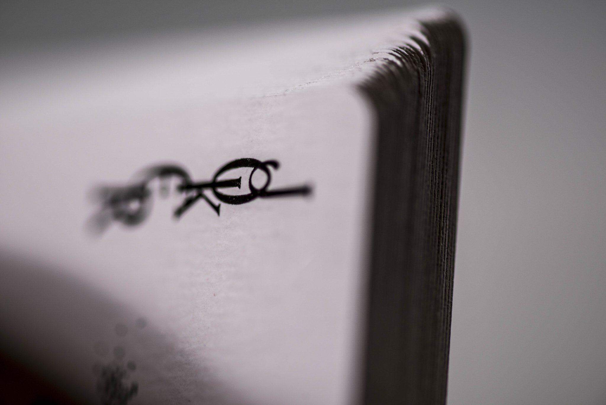 Sigma 105mm F2.8 EX DG OS HSM sample photo. Joker photography