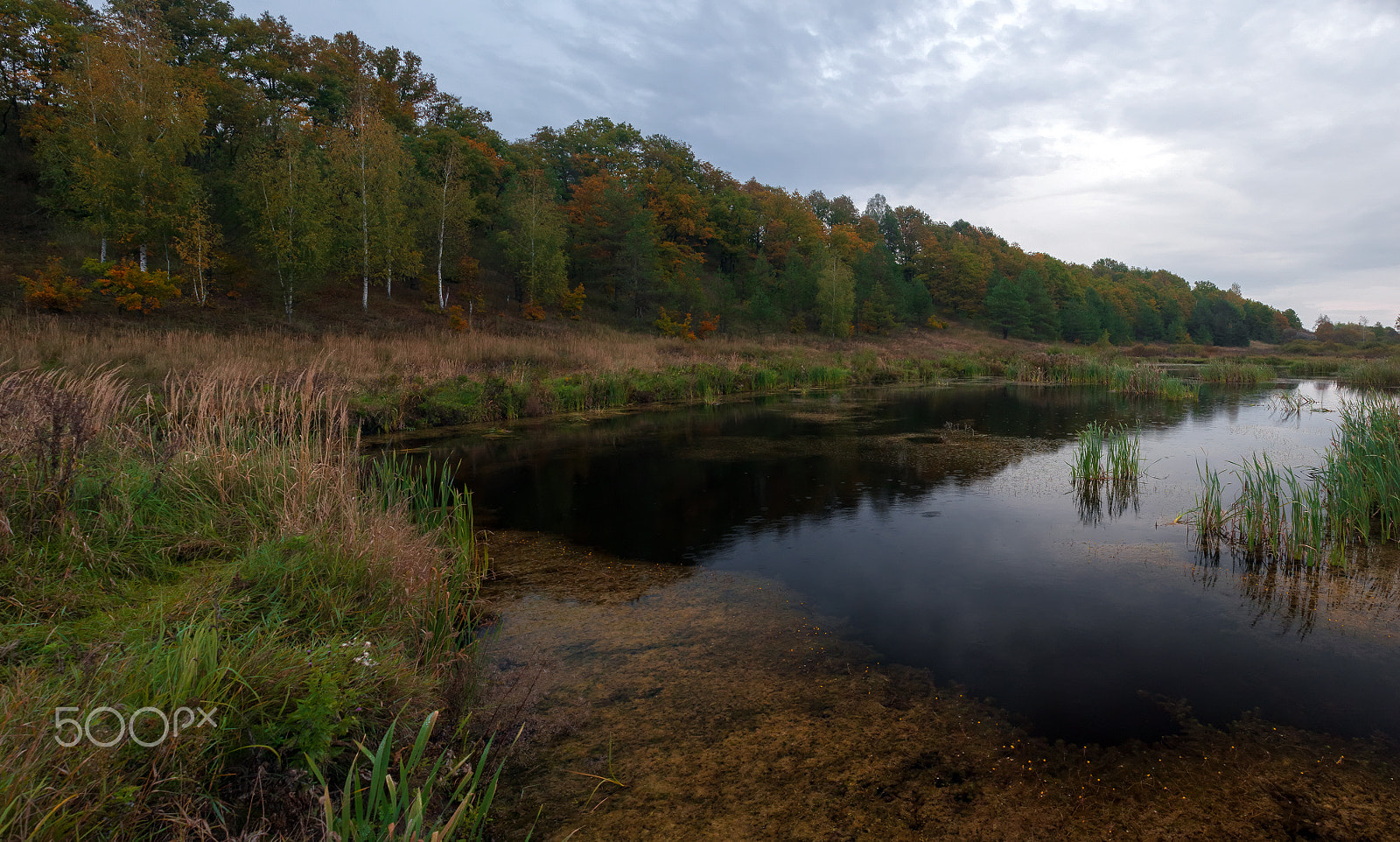 AF Zoom-Nikkor 28-85mm f/3.5-4.5 sample photo. Старое русло Мокши photography