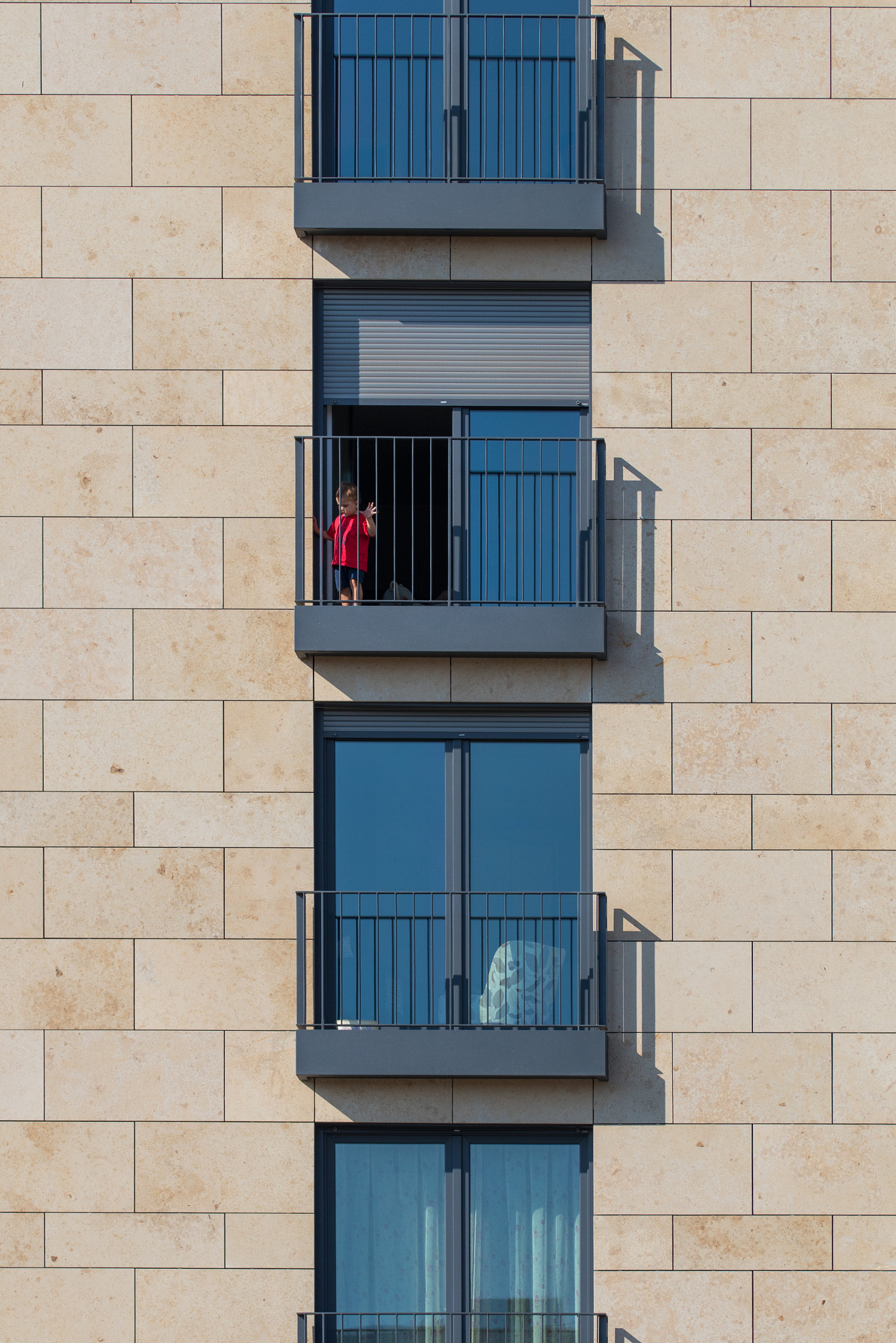 Sigma 105mm F2.8 EX DG OS HSM sample photo. Caged photography