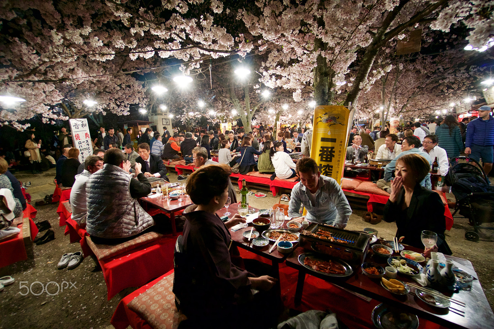 Sony a6000 + Sony E 10-18mm F4 OSS sample photo. Yozakura picnic photography