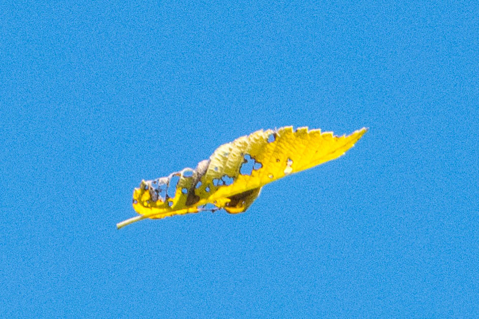 Sigma 18-200mm F3.5-6.3 DC OS HSM sample photo. Change in the air photography
