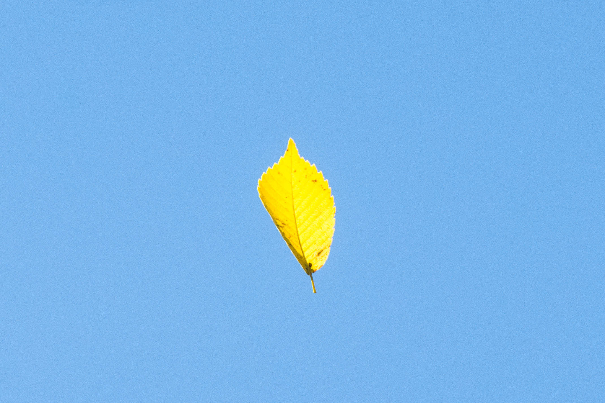 Sigma 18-200mm F3.5-6.3 DC OS HSM sample photo. Change in the air photography