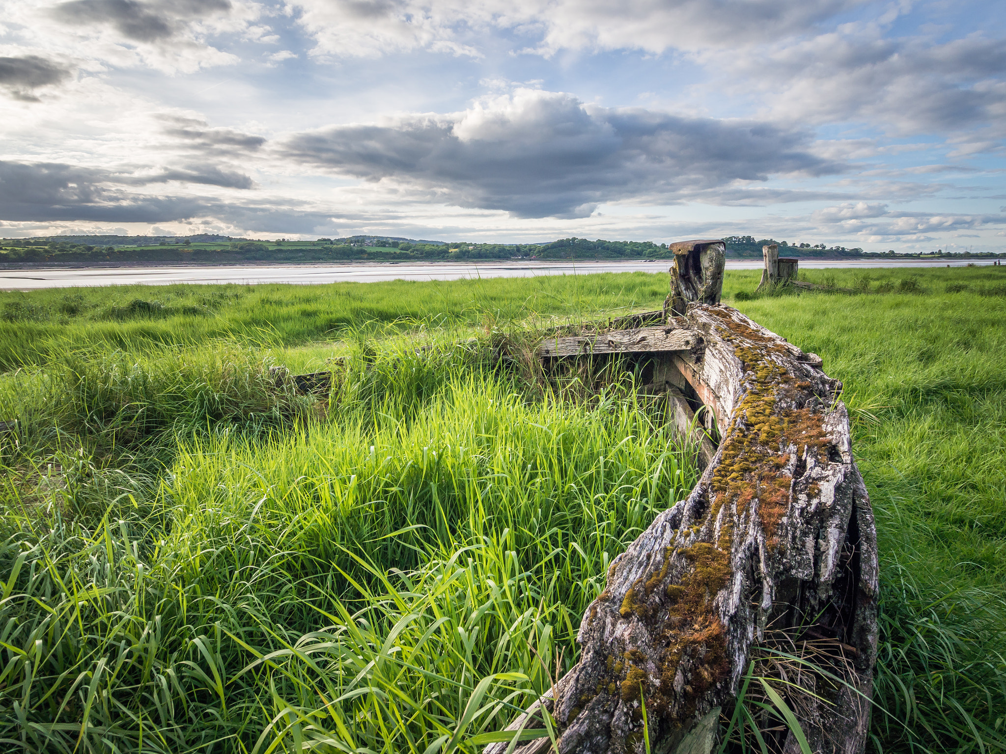 Olympus OM-D E-M5 sample photo. Old buried boat photography