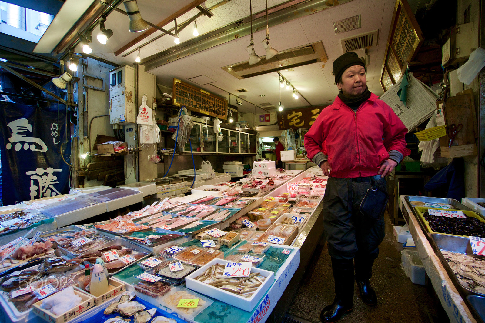 Sony a6000 + Sony E 10-18mm F4 OSS sample photo. Tsukiji fish market photography