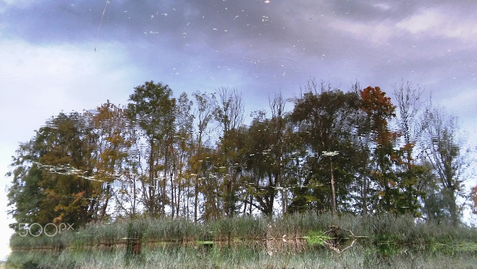 LG SPIRIT 4G LTE sample photo. Reverse photography