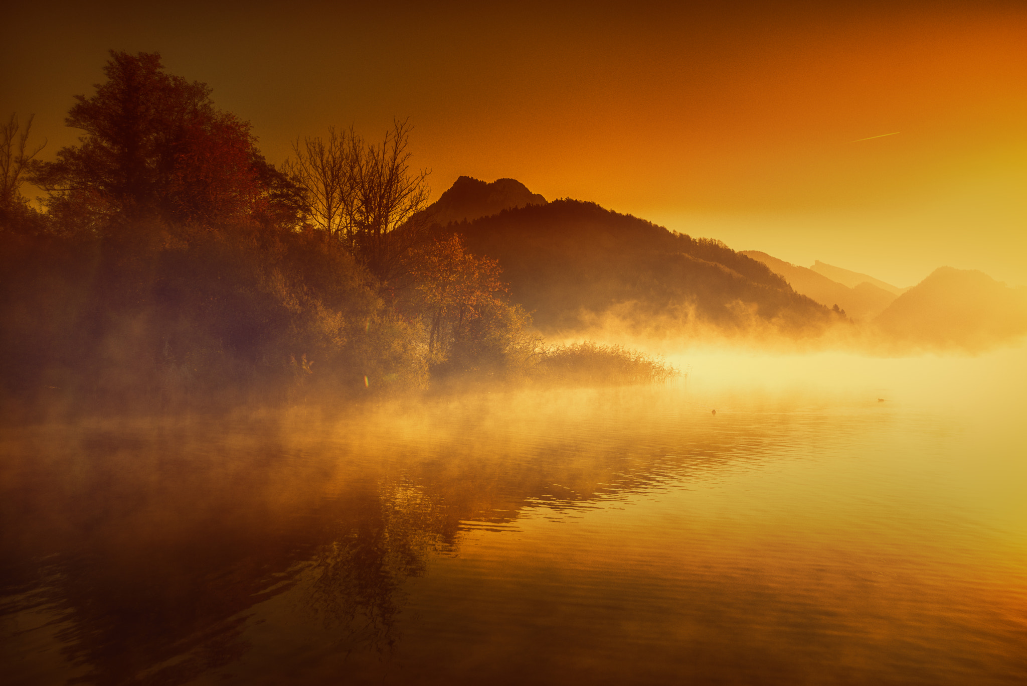 AF Zoom-Nikkor 24-120mm f/3.5-5.6D IF sample photo. Nebel am fuschlsee photography