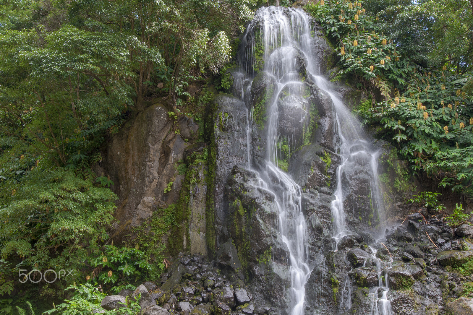 Nikon AF-S Nikkor 14-24mm F2.8G ED sample photo. Ribeira dos caldeirões, s miguel, azores, portugal photography