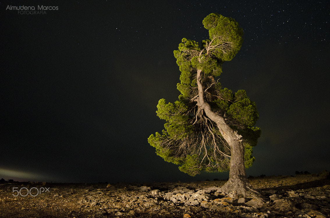 Samyang 14mm F2.8 ED AS IF UMC sample photo. Testigo nocturno photography