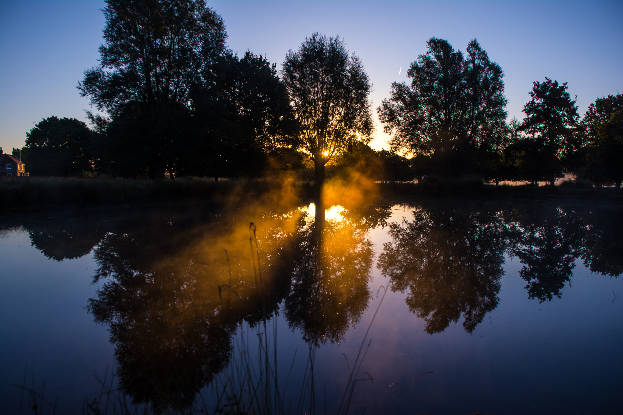 Nikon D5200 sample photo. Misty sunrise photography