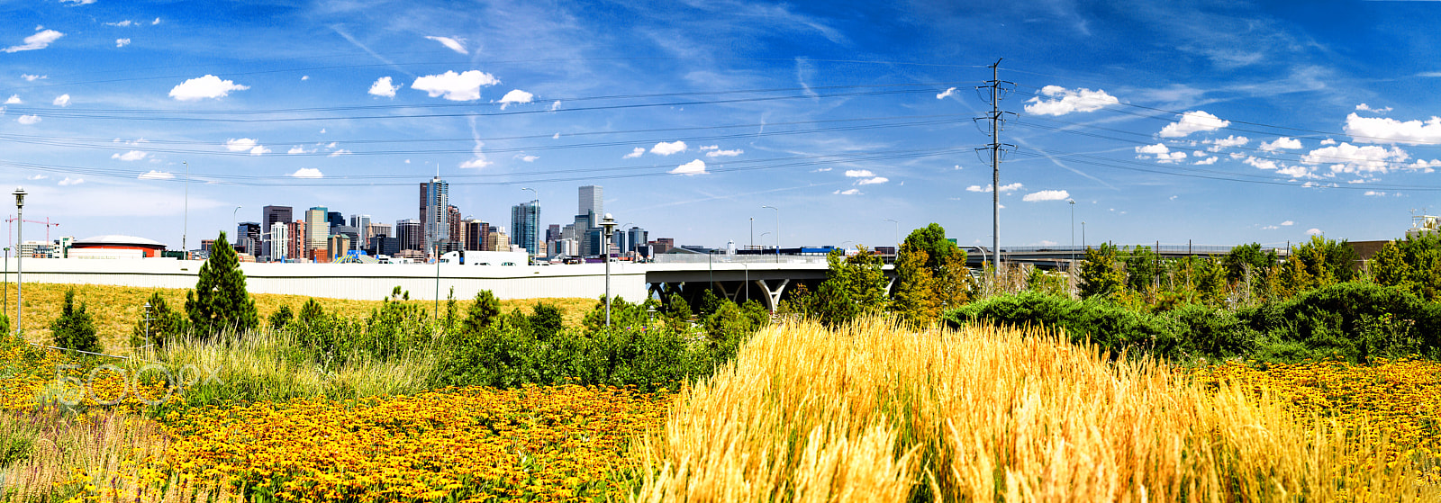 Canon EF 40mm F2.8 STM sample photo. Denver colorado photography
