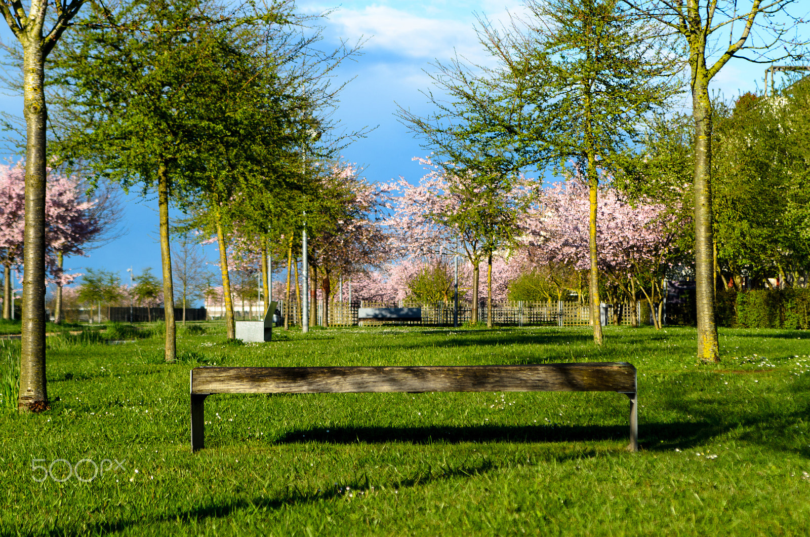 Nikon D7000 + Sigma 24-70mm F2.8 EX DG Macro sample photo. Evrain park, 77144, montevrain photography