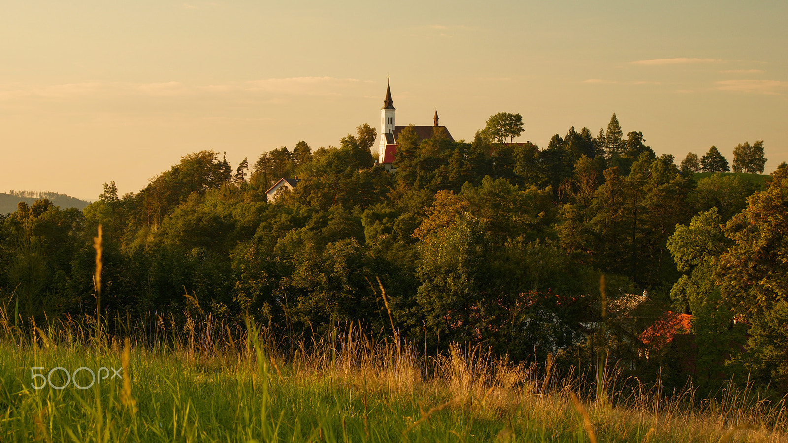 Nikon D5500 sample photo. Autumn begins photography