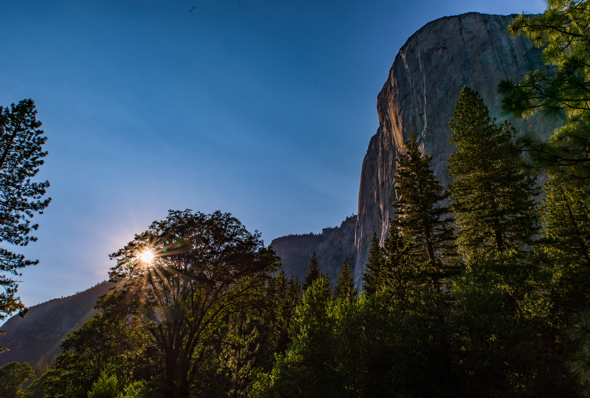 Nikon Df + Tamron SP 24-70mm F2.8 Di VC USD sample photo. Yosemite national park photography