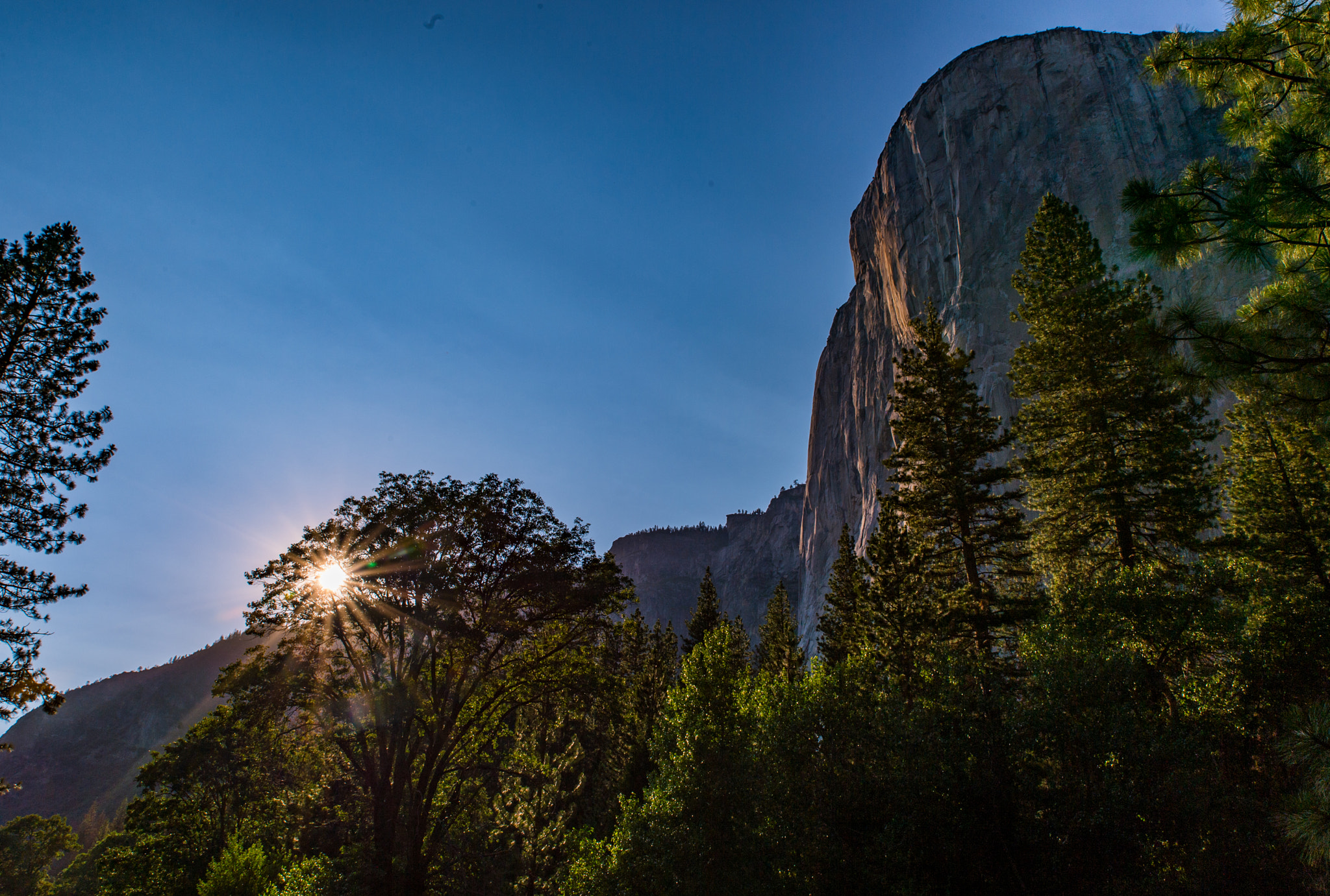 Nikon Df sample photo. Yosemite national park photography