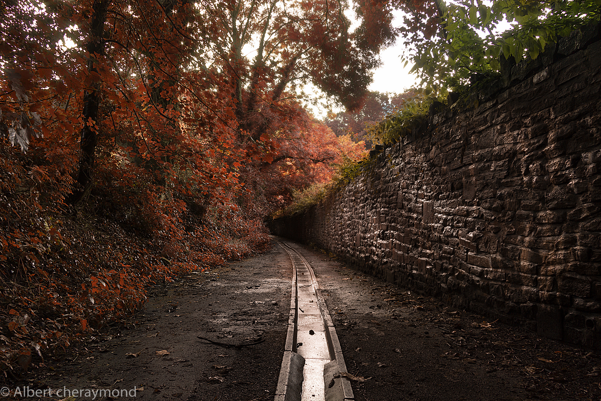 Canon EF-S 17-85mm F4-5.6 IS USM sample photo. Walkpath photography