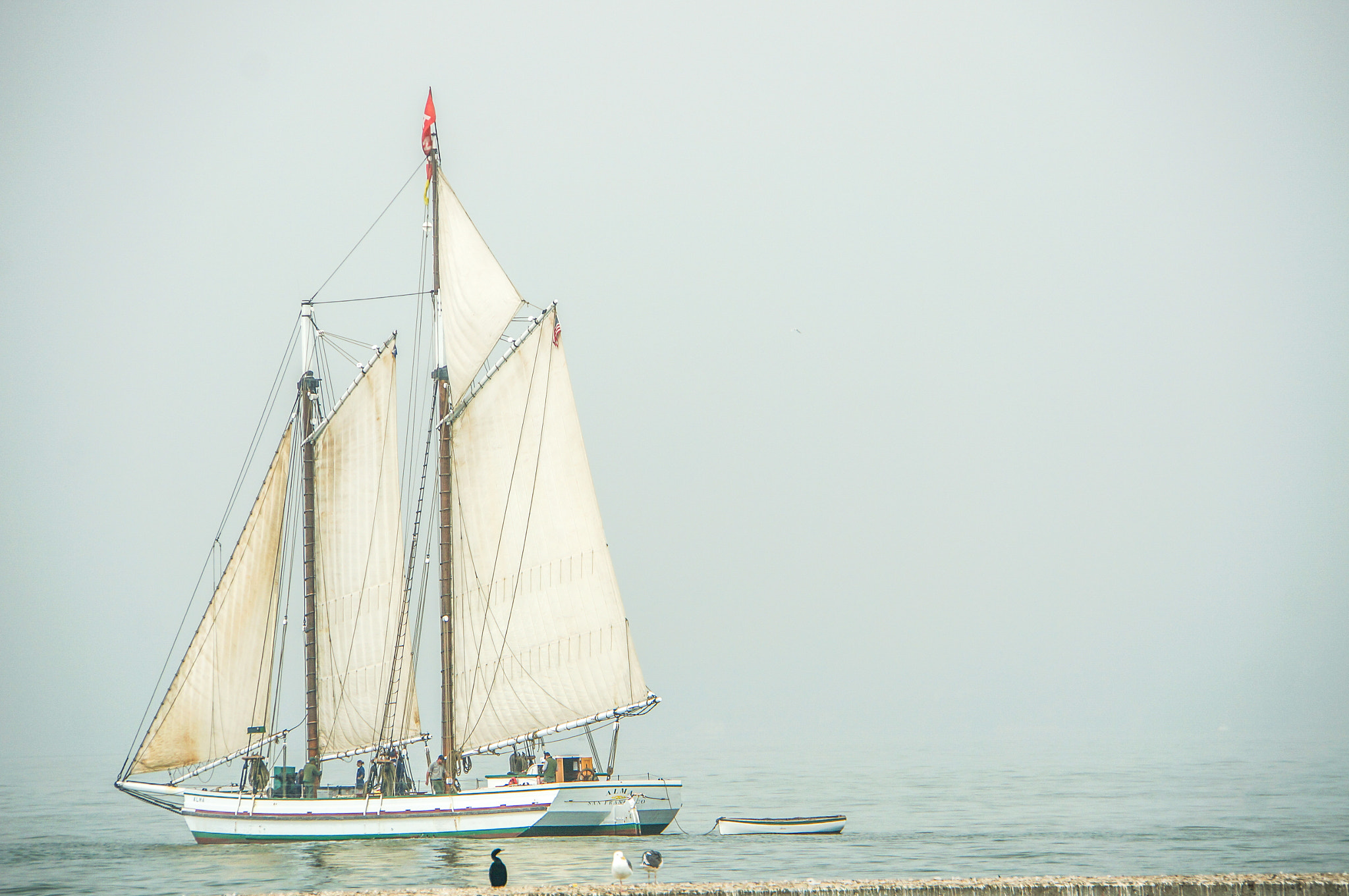 Sony E 18-200mm F3.5-6.3 OSS LE sample photo. Sailboat in san francisco bay photography