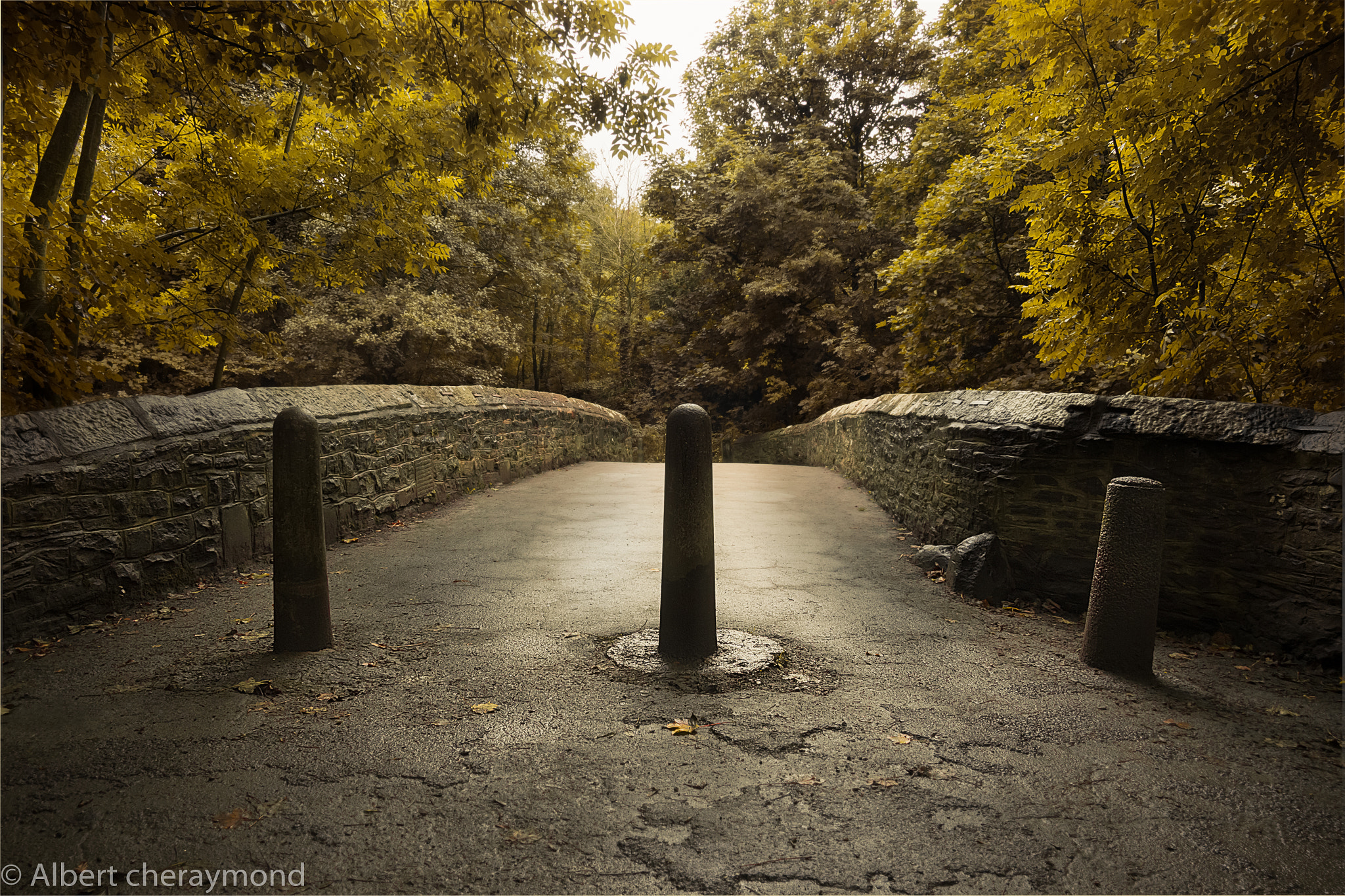 Canon EF-S 17-85mm F4-5.6 IS USM sample photo. River view bridge photography