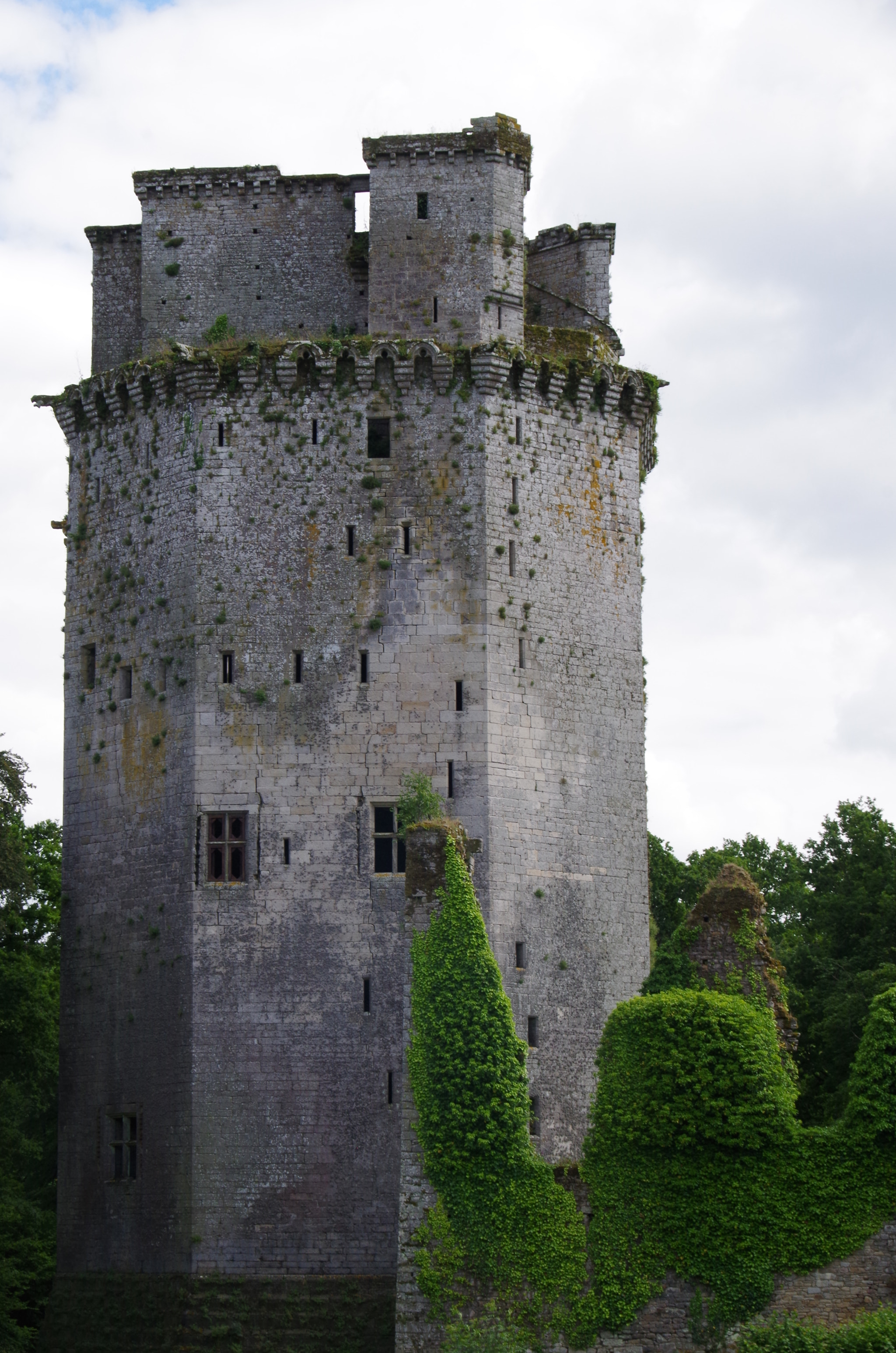 Pentax smc DA 18-270mm F3.5-6.3 ED SDM sample photo. Château de largoët photography