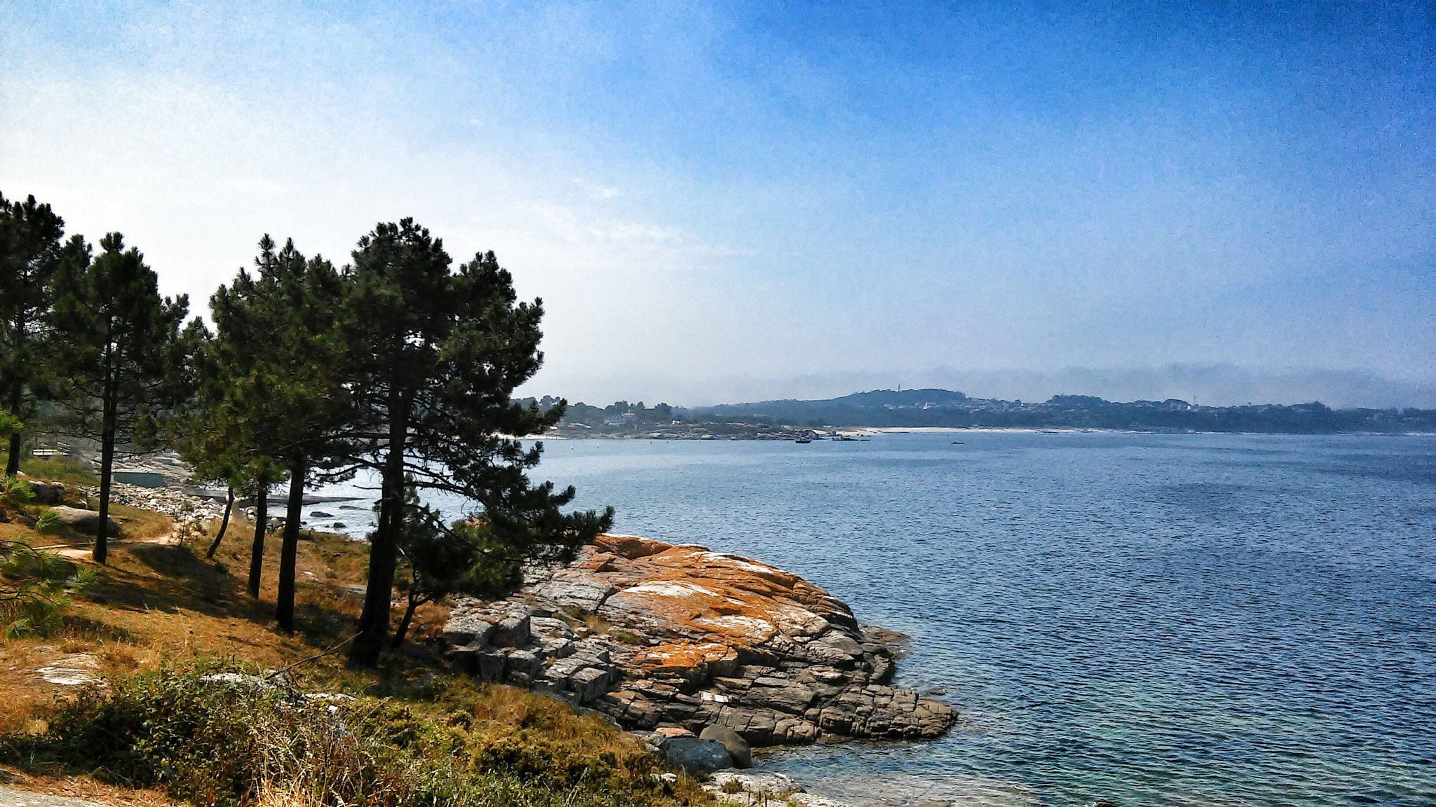LG D410 sample photo