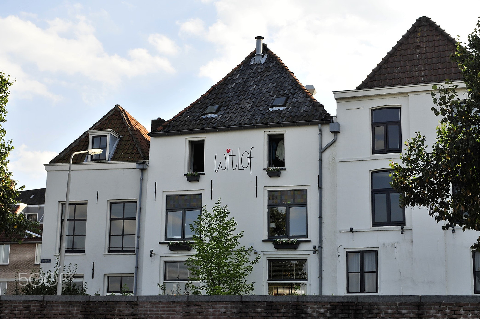 Nikon D300 sample photo. Ik hou van witlof ;-) photography