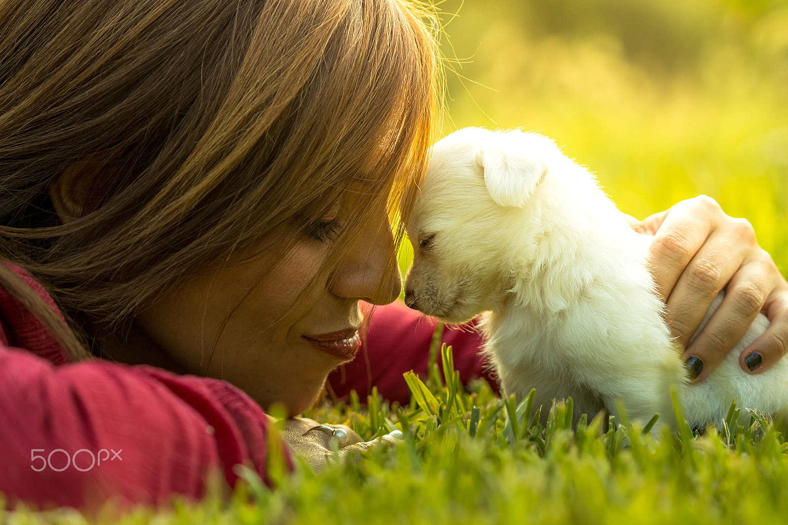 Canon EF 100mm F2.8 Macro USM sample photo. A strong friendship has begun photography