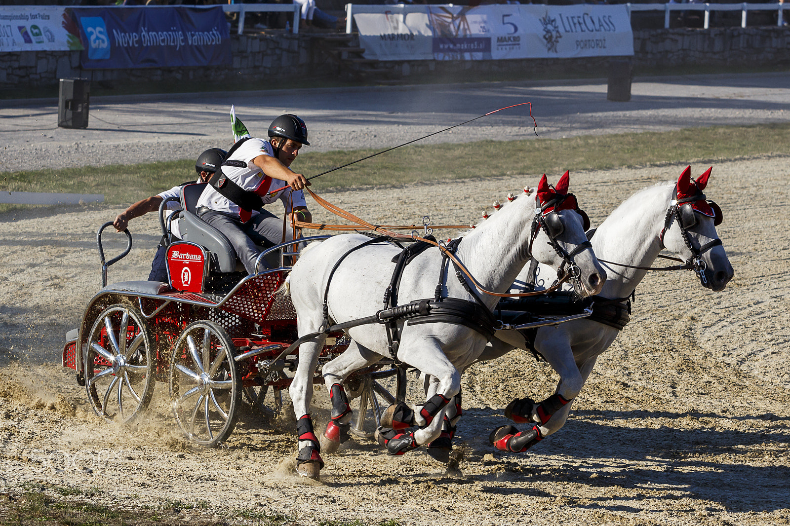 Canon EF 70-200mm F2.8L USM sample photo. Racing horse-drawn carriages photography