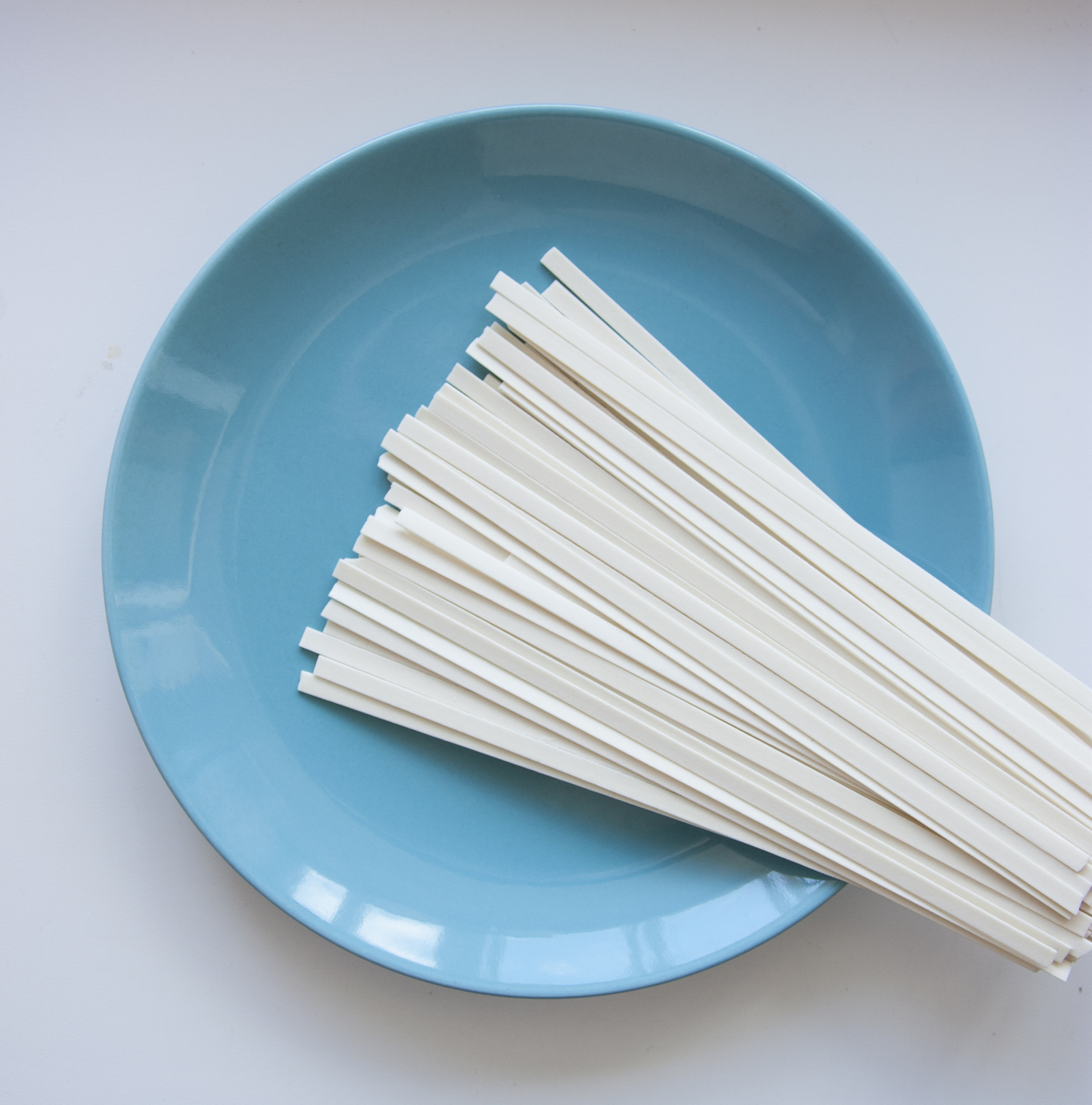 Canon EOS 450D (EOS Rebel XSi / EOS Kiss X2) sample photo. Noodles at the plate photography
