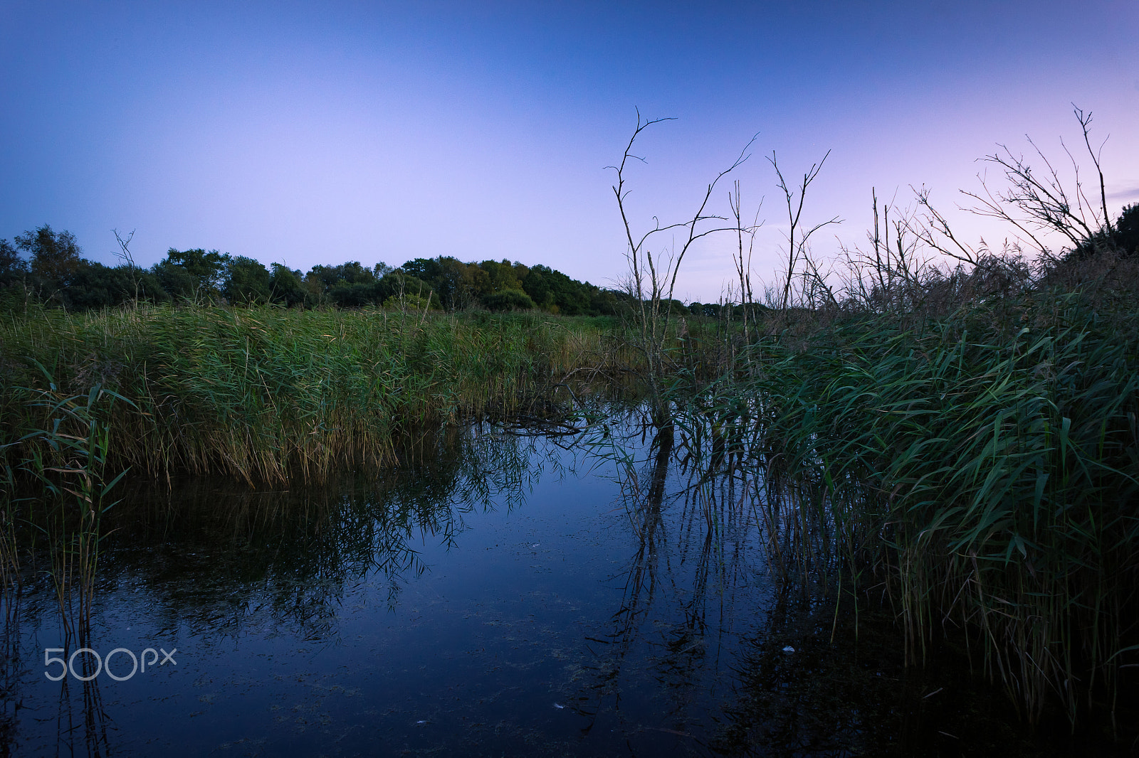 Sony Alpha NEX-5 + Sony E 16mm F2.8 sample photo. Level silence photography